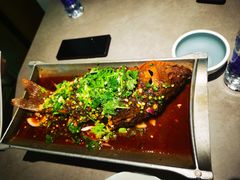 -树厨贵州菜(花果园购物中心店)