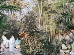 -西安国际创新人才交流中心•药浴温泉