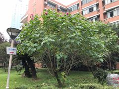 -四川大学(望江校区)