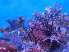 -海合安武汉极地海洋公园