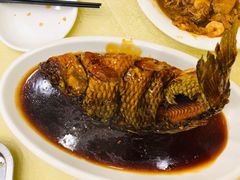 罾蹦鲤鱼-奥华餐厅·老张记(台基厂店)