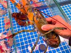 -巽寮印象美食部落餐厅·海鲜·地方特色菜(惠州体验店)