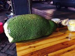 -亚龙湾海底世界