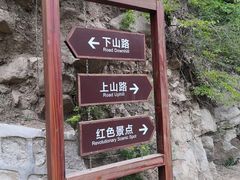-大岭沟猕猴桃谷风景区