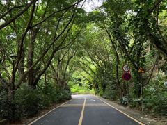 -深圳仙湖植物园