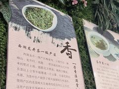 -香芙茗茶楼(梅家坞总店)