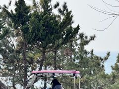 -养马岛旅游度假区