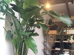 大堂-春暖花开(西溪店)