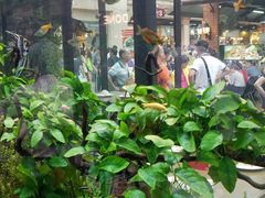 大堂-The Dishes Seafood & Restaurant