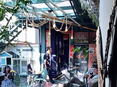 -喵屿·大理花园猫咖