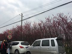 -汤峪温泉碧水湾