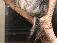 -龙猫仔乐园(惠福东路店)