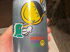 -虹桥机场国航贵宾室v8