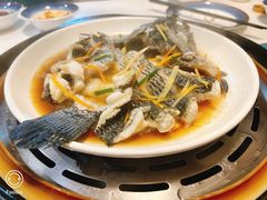 珍珠斑鱼-蔚海之都·象山蒸汽海鲜(仙霞路店)