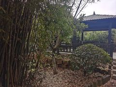 -九龙潭景区
