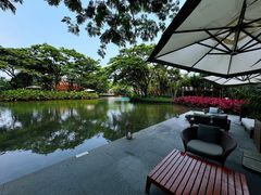 -瑰丽酒店·海吧·天际下午茶·现场DJ·天台酒吧