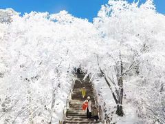 -黄山风景区