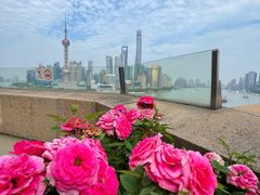 -上海和平饭店华懋阁 Cathay Room