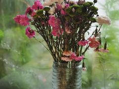 -春暖花开(西溪店)
