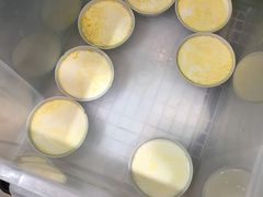 -德禄酸奶(莫家街店)