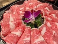 -鼎膳常火锅(华阳店)