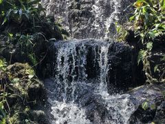 -海口火山口国家地质公园