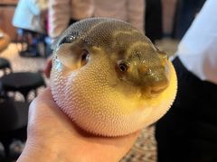 -永安鱼庄·镇江菜(丁卯店)