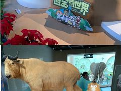 -陕西自然博物馆