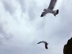 -海驴岛(荣成市)