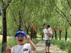 -长兴太湖图影湿地文化园