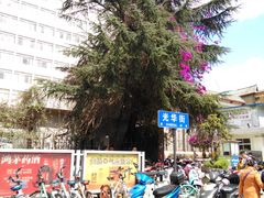 -云南省中医医院(光华院区)