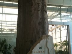 IMG_0436-龙凤山庄(永定镇店)