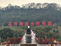 -东南花都花博园