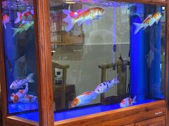-东来菜馆•手抓海鲜家常菜•海鲜锅贴(鸽子窝店)