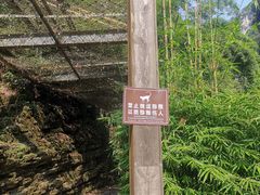 -三峡人家风景区