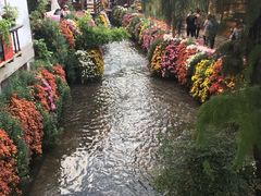-大冰的小屋