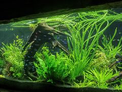 -上海海洋水族馆