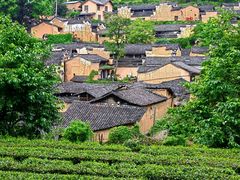 -杨家堂村