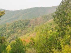 -北京十三陵国家森林公园蟒山景区