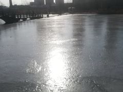-前关湿地公园