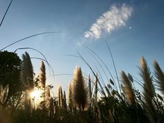 -上海滴水湖皇冠假日酒店