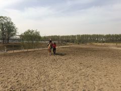 -月河湾马术俱乐部(朝阳店)