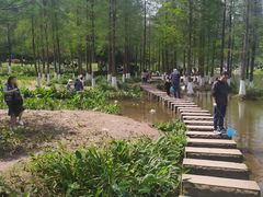 -重庆彩云湖湿地公园