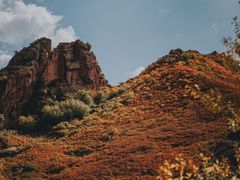 -克什克腾世界地质公园青山景区