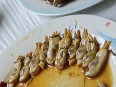 -宾朋海鲜特色美食餐厅·纯手工鲅鱼水饺(兴海路店)