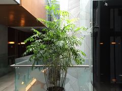 -常州环球恐龙城维景国际大酒店