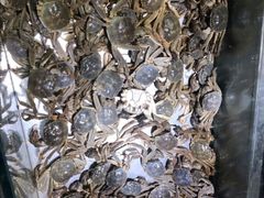 -欢乐牧场海鲜烤肉自助(牡丹园店)