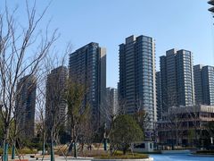 -金沙湖公园