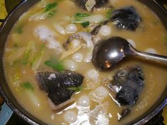 -丁老爷子苏香圆