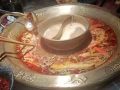 -新哥老官·畅吃123·美蛙世界(苏宁广场店)